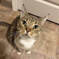 Thumbnail photo of Jasper #1