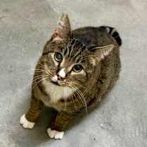 Thumbnail photo of Kimbop #2