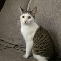 Thumbnail photo of Muazze #1