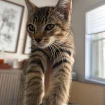 Thumbnail photo of Zion #2