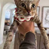 Thumbnail photo of Lara #2