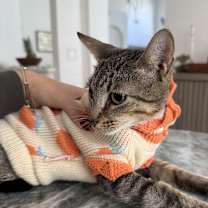 Thumbnail photo of Lara #4