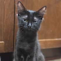 Thumbnail photo of Missy #2