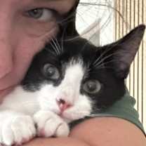 Thumbnail photo of Hickory #2