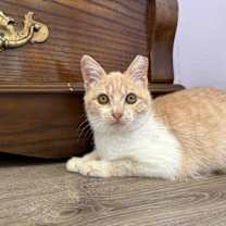 Thumbnail photo of Ernie #3