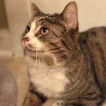 Thumbnail photo of Ralph #2