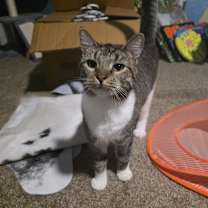 Thumbnail photo of Gretchen #2