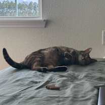 Thumbnail photo of Coco #4