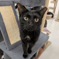 Thumbnail photo of Logan #1