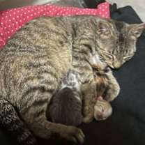 Thumbnail photo of Harriet O #3