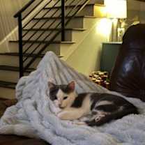 Thumbnail photo of Little #4