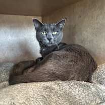 Thumbnail photo of Selena #1