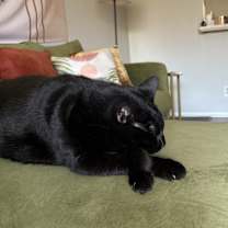 Thumbnail photo of Scar #2