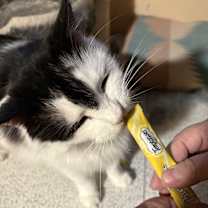 Thumbnail photo of Mathew #3