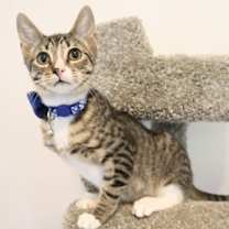 Thumbnail photo of Tippy #4