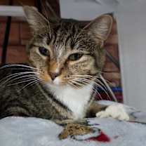 Thumbnail photo of Susie #1