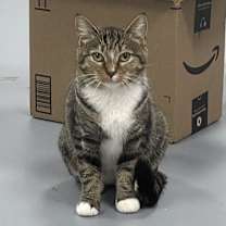 Thumbnail photo of Susie #2