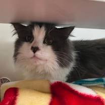 Thumbnail photo of Oops #2