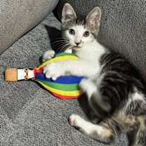 Thumbnail photo of Emily #3