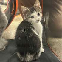 Thumbnail photo of Emily #4