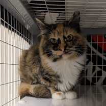 Thumbnail photo of Holly #2