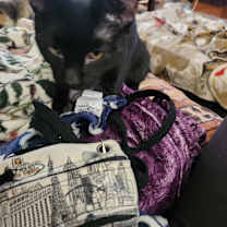 Thumbnail photo of Stinky-Mcstinkster #3