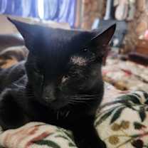 Thumbnail photo of Stinky-Mcstinkster #4