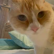 Thumbnail photo of Snow #3