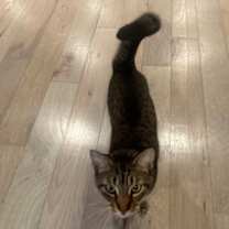 Thumbnail photo of Matteo #2