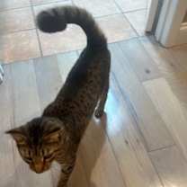 Thumbnail photo of Matteo #3