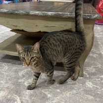 Thumbnail photo of Matteo #4