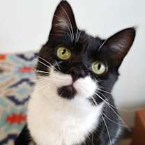 Thumbnail photo of Babs #1