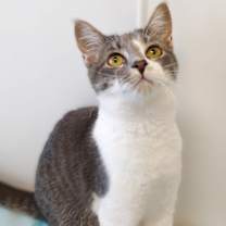 Thumbnail photo of Celia #1