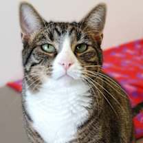 Thumbnail photo of Barbie #1