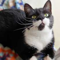 Thumbnail photo of Babs #2