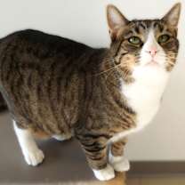 Thumbnail photo of Barbie #2