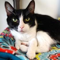 Thumbnail photo of Minnie #2