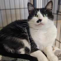 Thumbnail photo of Estelle #3