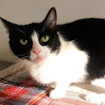 Thumbnail photo of Minnie #3