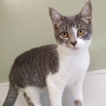 Thumbnail photo of Celia #3