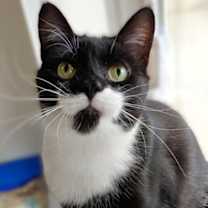 Thumbnail photo of Babs #3