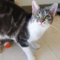 Thumbnail photo of Johnny #2