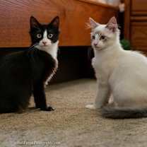 Thumbnail photo of Tucker #2