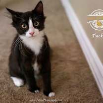 Thumbnail photo of Tucker #3