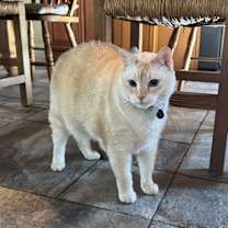 Thumbnail photo of Grace #1