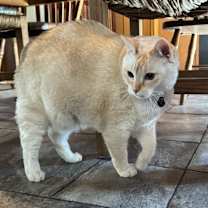 Thumbnail photo of Grace #2