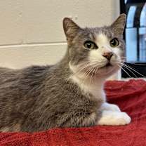 Thumbnail photo of Mrs. White #1