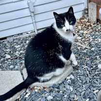 Thumbnail photo of Annie #4