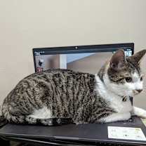 Thumbnail photo of Spyro #1