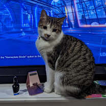 Thumbnail photo of Spyro #3